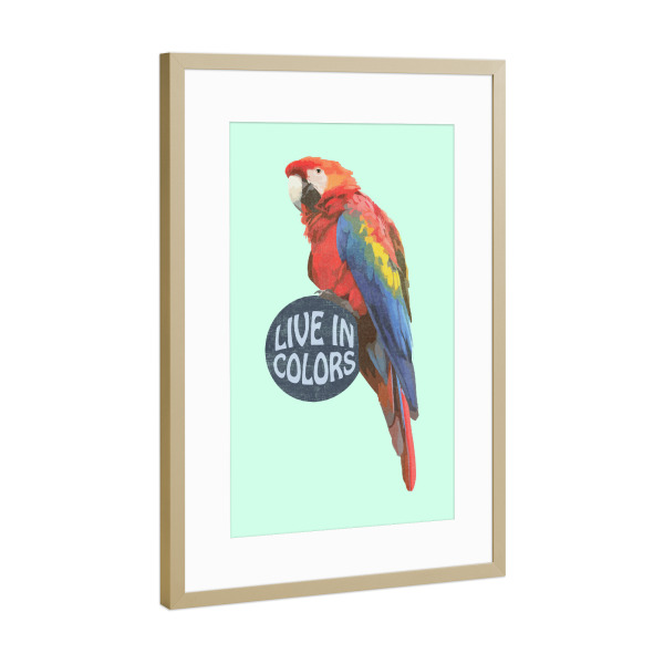 Poster mit Rahmen Gold "Parrot - Live in colors" artboxONE - Natur,Für Kinder,Tiere,Für Mama,Für Papa,Festivals