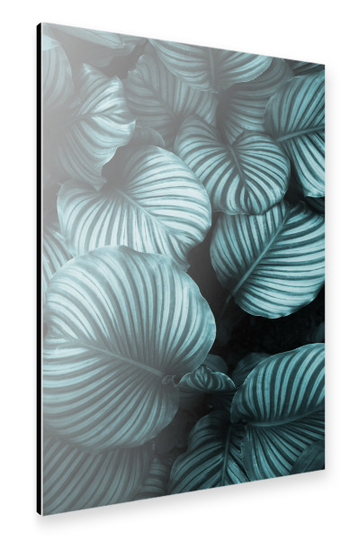 Alu-Dibond "Leaf me alone" 30x20 cm artboxONE