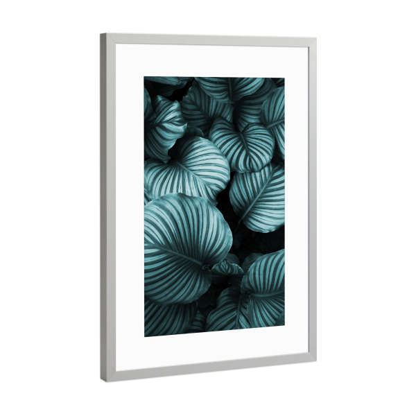 Poster mit Rahmen Silber "Leaf me alone" artboxONE - Natur,Reise,Floral,Abstrakt,Schwarzweiß,Festivals - Pflanze,Blätter