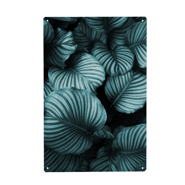 Metall Poster "Leaf me alone" artboxONE - Natur,Reise,Floral,Abstrakt,Schwarzweiß,Festivals - Pflanze,Blätter - Blechschild