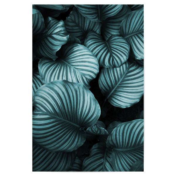 Poster "Leaf me alone" artboxONE - Natur,Reise,Floral,Abstrakt,Schwarzweiß,Festivals - Pflanze,Blätter