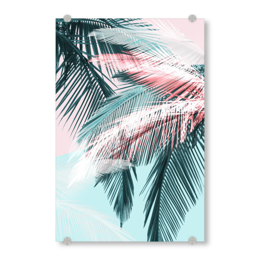 Tropical palms