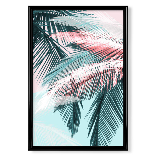Tropical palms