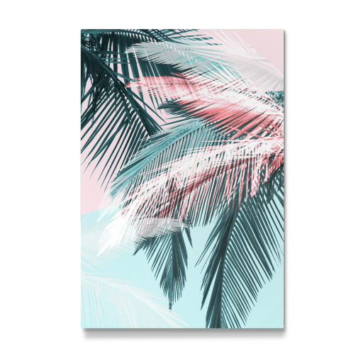 Tropical palms