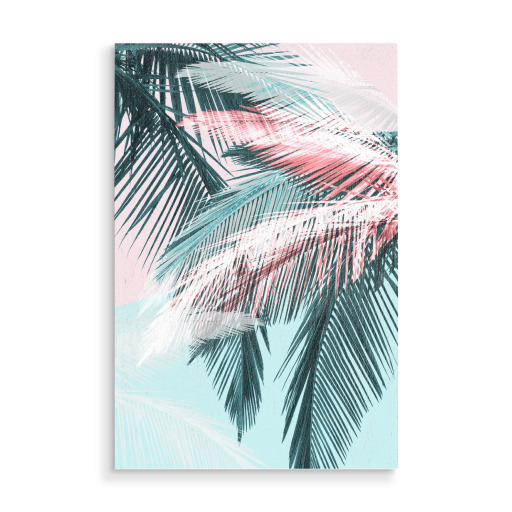 Tropical palms