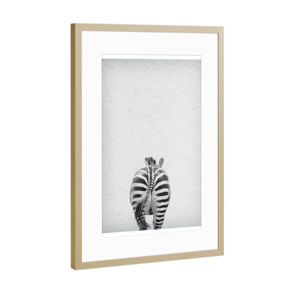 Poster mit Rahmen Gold "Zebra 16" artboxONE - Natur,Tiere,Schwarzweiß,Reise / Afrika - Zebra,Zoo,Natur,Tier,Afrika,Dschungel,Dessert,Savanne