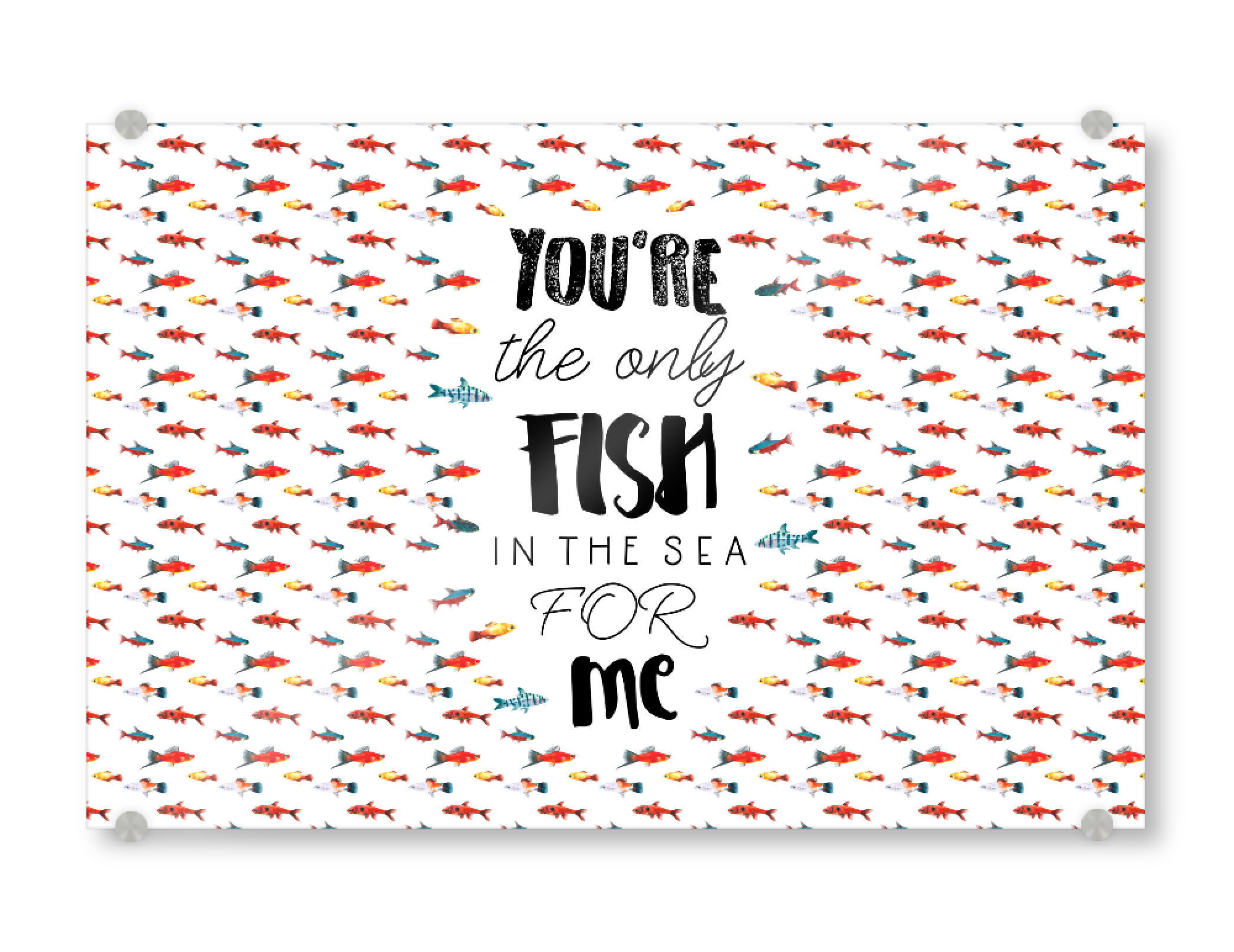 Acrylglasbild "You're the only fish in the sea" artboxONE - Typografie,Natur,Liebe