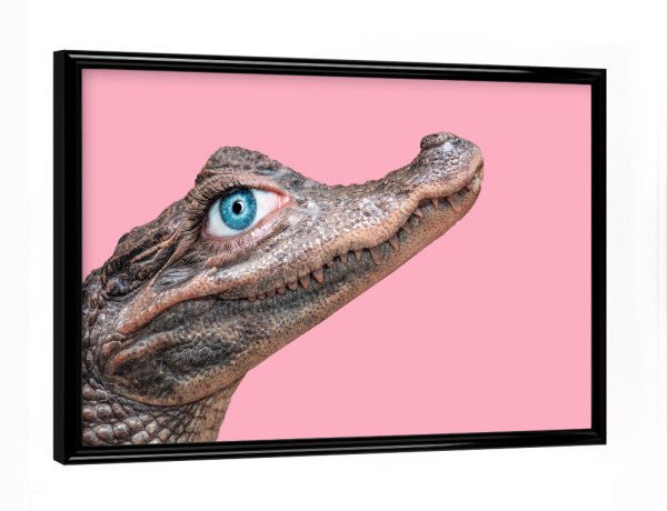 Poster mit schwarzem Rahmen "BEAUTY CROCODILE" artboxONE - Natur,Reise,Für Kinder,Tiere,Comic,Liebe,Fashion,Streetart,Fiktion