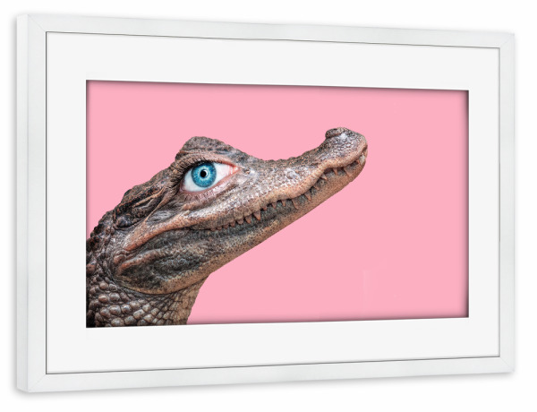 Poster mit Rahmen weiß "BEAUTY CROCODILE" artboxONE - Natur,Reise,Für Kinder,Tiere,Comic,Liebe,Fashion,Streetart,Fiktion