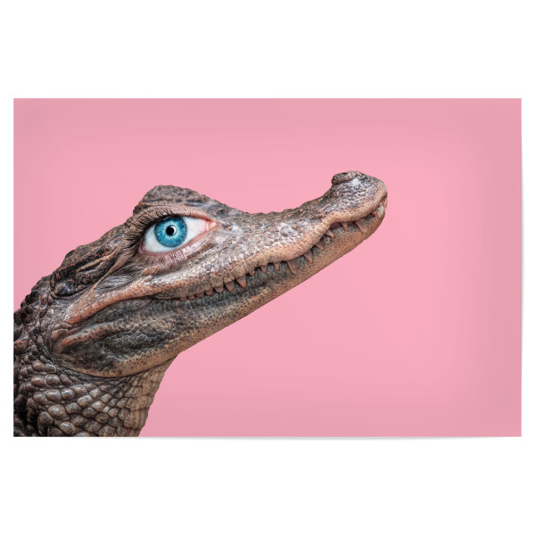 Poster "BEAUTY CROCODILE" artboxONE - Natur,Reise,Für Kinder,Tiere,Comic,Liebe,Fashion,Streetart,Fiktion