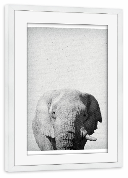 Poster mit Rahmen weiß "Elephant 06" artboxONE - Natur,Für Kinder,Tiere,Abstrakt,Schwarzweiß