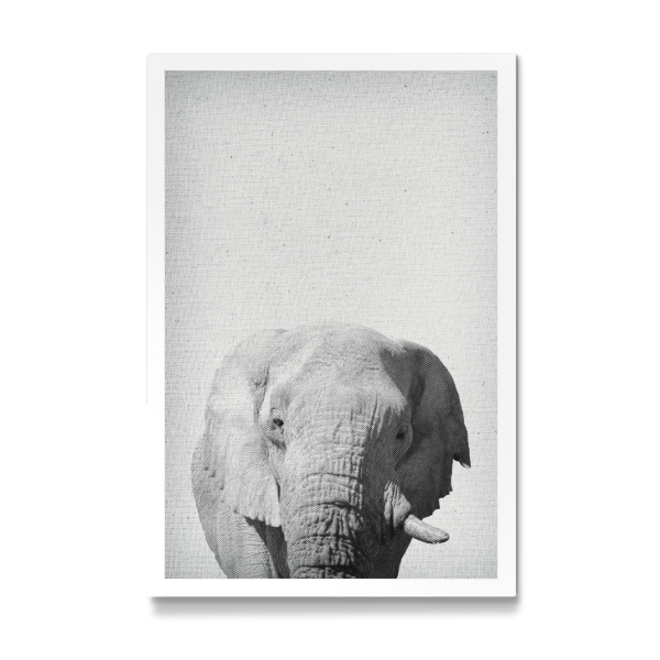 Galerie-Print "Elephant 06" 30x20 cm artboxONE