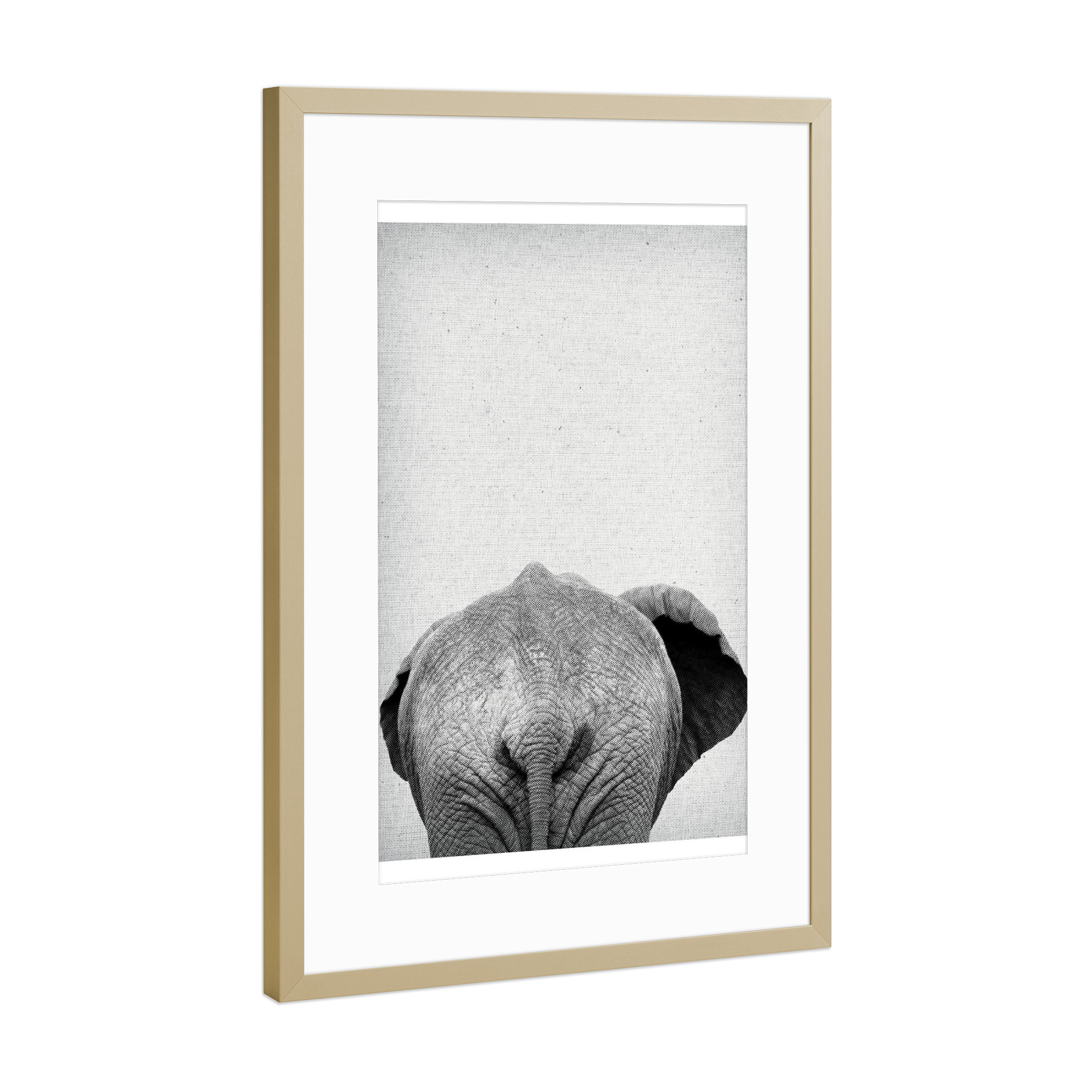 Poster mit Rahmen Gold "Elephant 05" artboxONE - Natur,Für Kinder,Tiere,Schwarzweiß