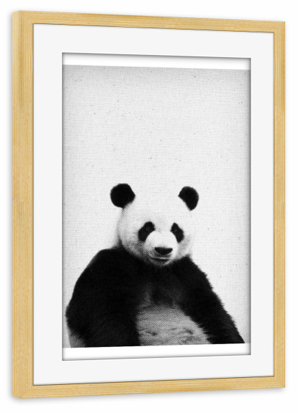 Poster mit Rahmen kiefer "Panda 04" artboxONE - Natur,Tiere,Schwarzweiß - Panda,Bär,Tier,Schwarz,Weiß,Wildtier,Wald,Süß,Niedlich,Teddy