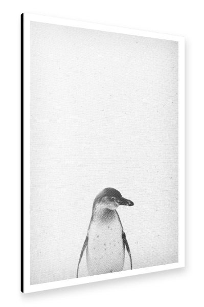 Alu-Dibond "Pinguin-Portrait" 30x20 cm artboxONE