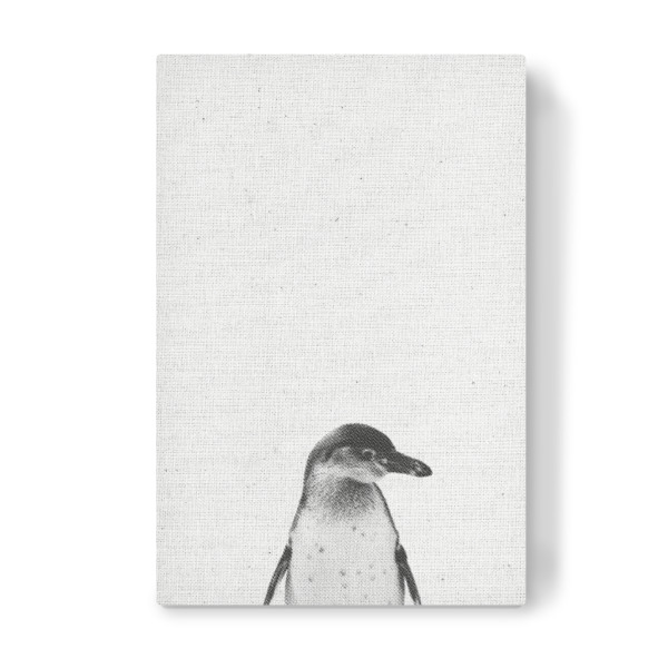 Leinwandbild "Pinguin-Portrait" artboxONE - Natur,Tiere,Schwarzweiß - Pinguin,Tier,Portrait