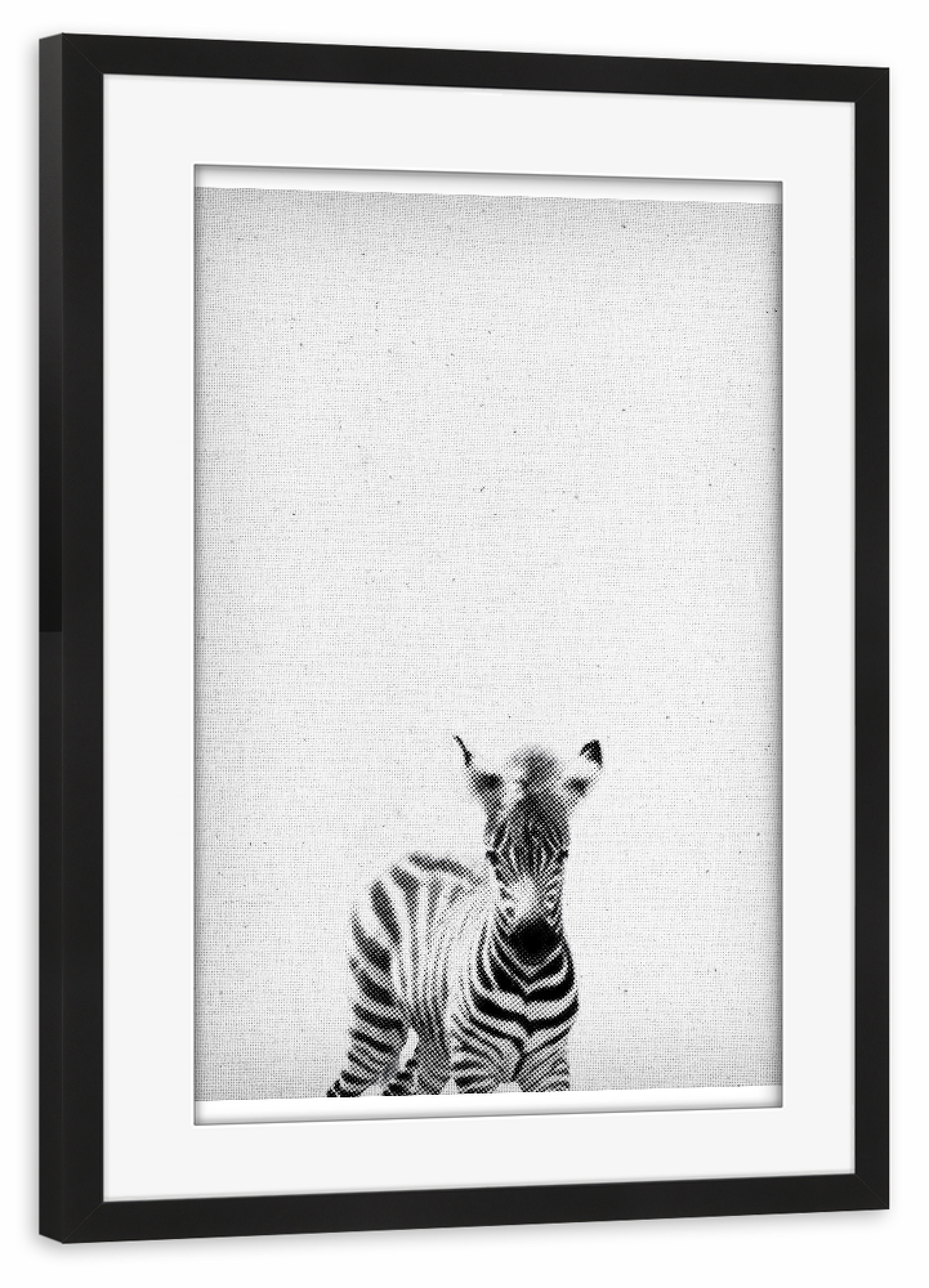 Poster mit Rahmen schwarz "Zebra 06" artboxONE - Natur,Für Kinder,Tiere,Schwarzweiß - Zebra,Zoo,Natur,Tier,Afrika,Dschungel,Dessert,Savanne