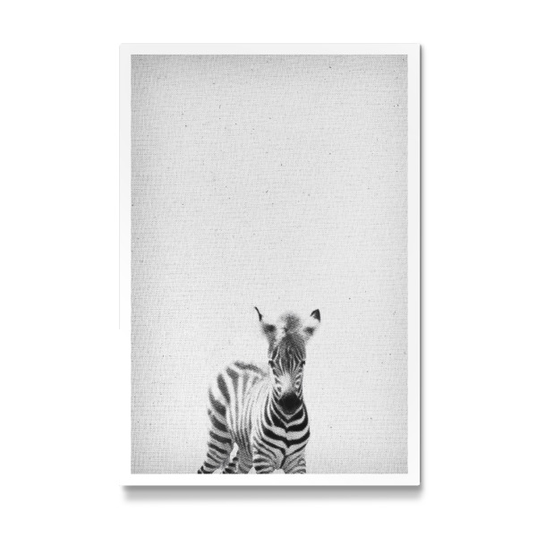 Galerie-Print "Zebra 06" 30x20 cm artboxONE