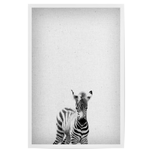 Poster 30x20 cm "Zebra 06" artboxONE - Natur,Für Kinder,Tiere,Schwarzweiß - Zebra,Zoo,Natur,Tier,Afrika,Dschungel,Dessert,Savanne