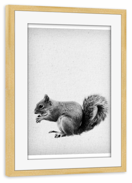 Poster mit Rahmen kiefer "Squirrel 03" artboxONE - Natur,Für Kinder,Tiere,Abstrakt,Schwarzweiß - Eichhörnchen,Tier,Squirrel,Süss,Natur,Pelz,Fell