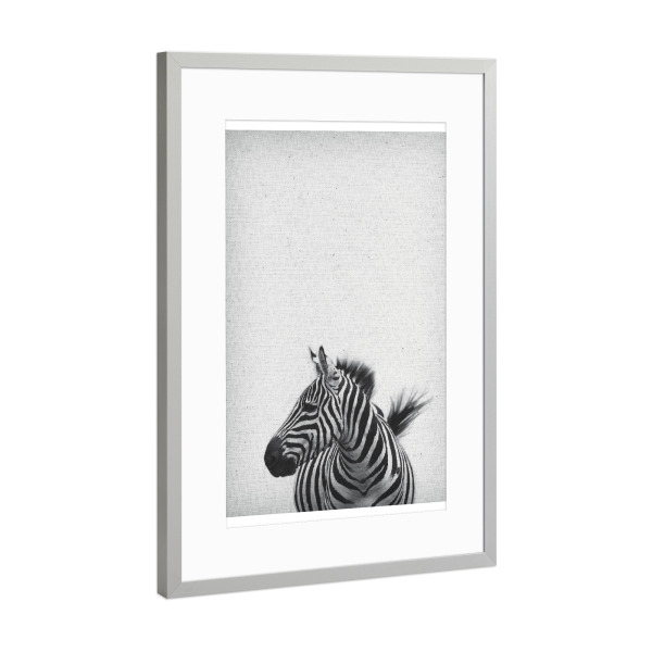 Poster mit Rahmen Silber "Zebra 13" artboxONE - Natur,Für Kinder,Tiere,Abstrakt,Schwarzweiß