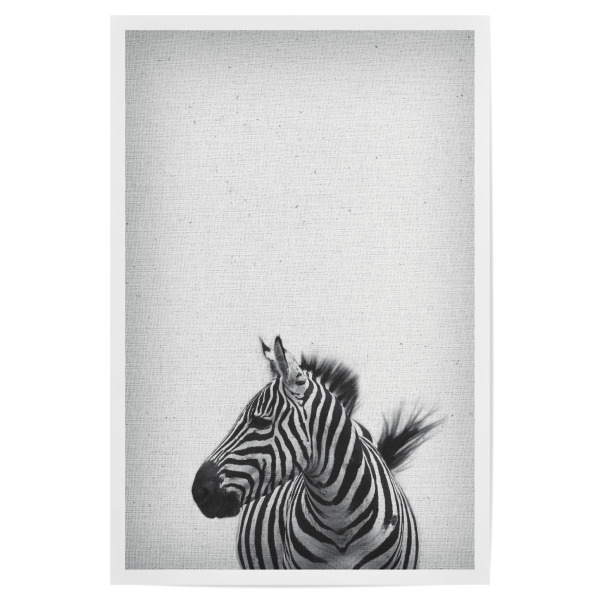 Poster 30x20 cm "Zebra 13" artboxONE - Natur,Für Kinder,Tiere,Abstrakt,Schwarzweiß