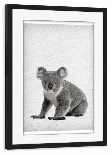 Poster mit Rahmen schwarz "Koala 01" artboxONE - Für Kinder,Tiere,Schwarzweiß