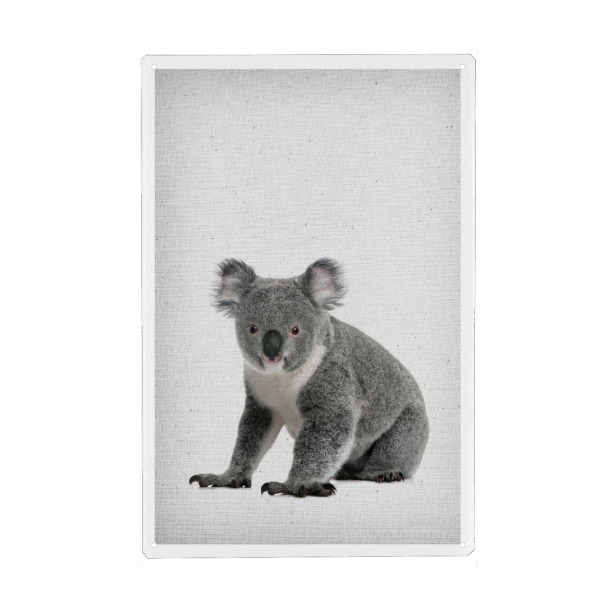 Holzbild "Koala 01" artboxONE - Für Kinder,Tiere,Schwarzweiß