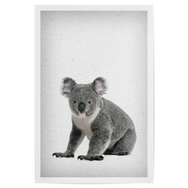 Poster 30x20 cm "Koala 01" artboxONE - Für Kinder,Tiere,Schwarzweiß