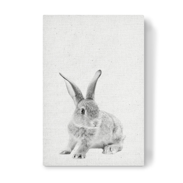 Leinwandbild "Rabbit 25" artboxONE - Für Kinder,Tiere,Schwarzweiß