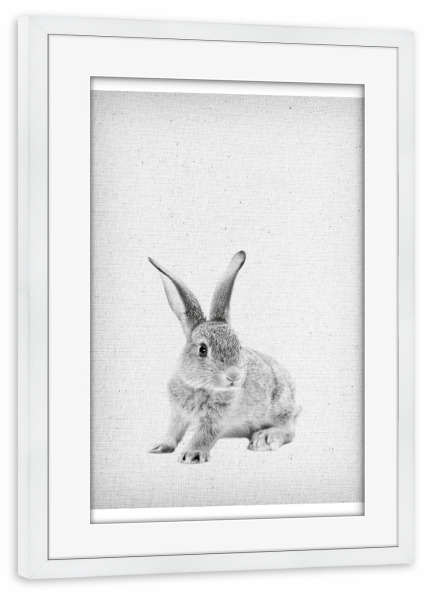 Poster mit Rahmen weiß "Rabbit 25" artboxONE - Für Kinder,Tiere,Schwarzweiß