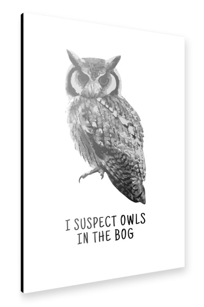 Alu-Dibond "I Suspect Owls" 30x20 cm artboxONE