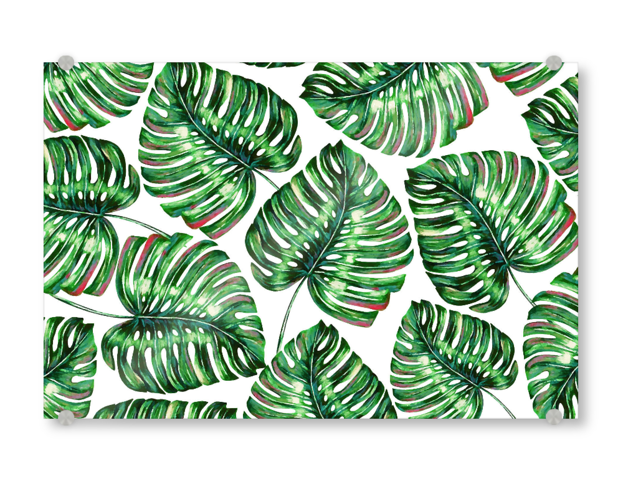 Acrylglasbild "Tropical Greenery" artboxONE - Natur,Floral - Acrylic,Watercolor,Pattern,Monstera,Tropical,Exotic,Nature,Leaves,Botanical,Green,Pink
