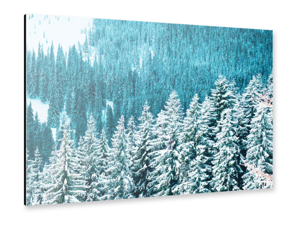Alu-Dibond "Rainforest" 30x20 cm artboxONE