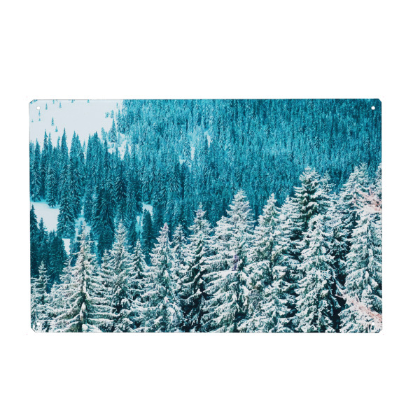 Metall Poster "Rainforest" artboxONE - Natur