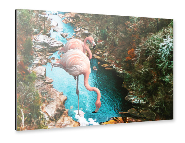 Alu-Dibond "Flamingo Forest" 30x20 cm artboxONE