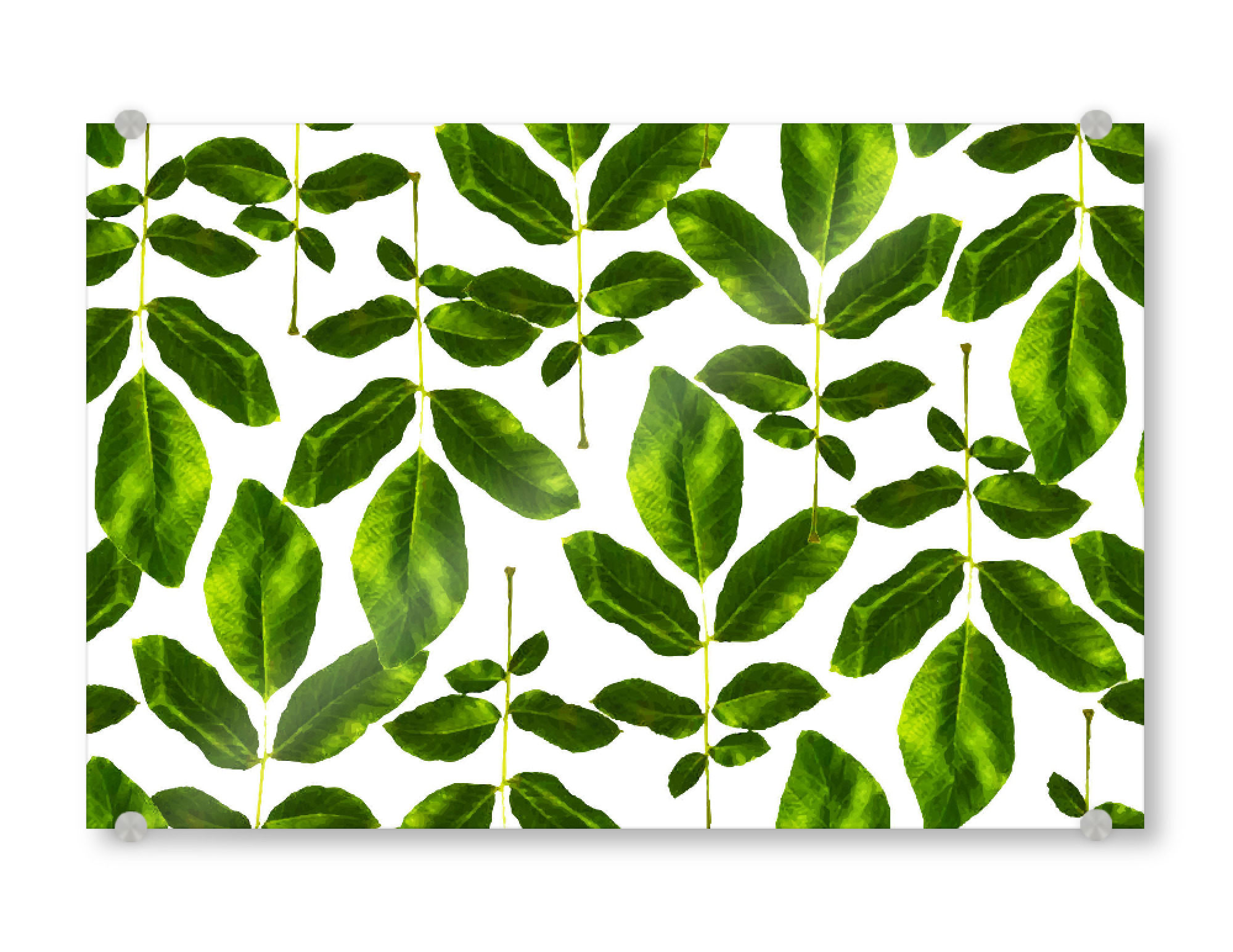 Acrylglasbild "Natural Cure" artboxONE - Natur,Floral - Acrylic,Watercolor,Pattern,Leaves,Nature,Botanical,Tropical,Exotic,Green,Greenery