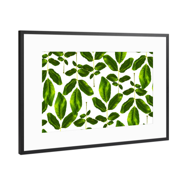 Poster mit Rahmen Schwarz (Metallic) "Natural Cure" artboxONE - Natur,Floral