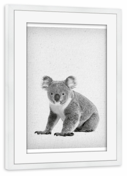 Poster mit Rahmen weiß "Koala 02" artboxONE - Natur,Für Kinder,Tiere,Schwarzweiß - Koala,Tier,Bär,Koalabär,Eukalyptus,Eukalypten,Süss