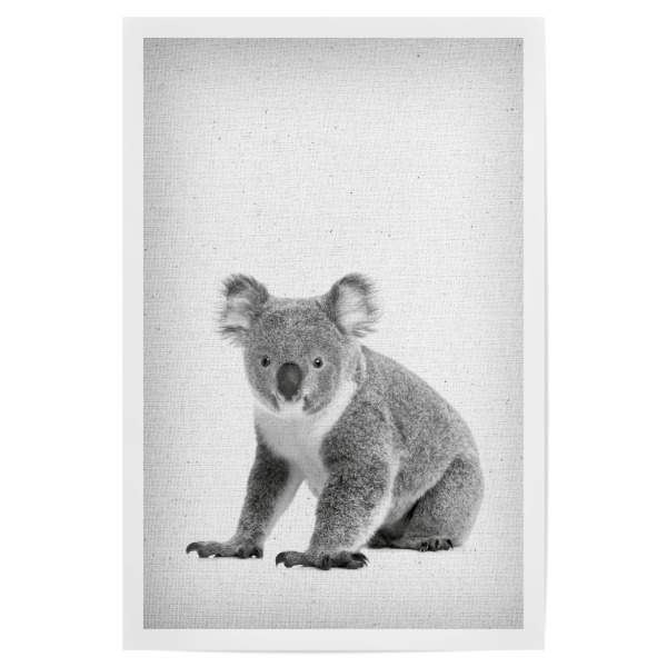 Poster 30x20 cm "Koala 02" artboxONE - Natur,Für Kinder,Tiere,Schwarzweiß - Koala,Tier,Bär,Koalabär,Eukalyptus,Eukalypten,Süss