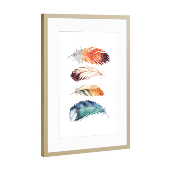 Poster mit Rahmen Gold "Feathers 2" artboxONE - Natur,Für Kinder