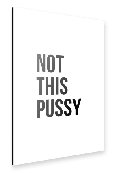 Alu-Dibond "Pussy" 30x20 cm artboxONE