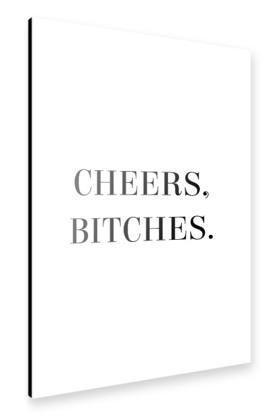 Alu-Dibond "Cheers, Bitches" 30x20 cm artboxONE