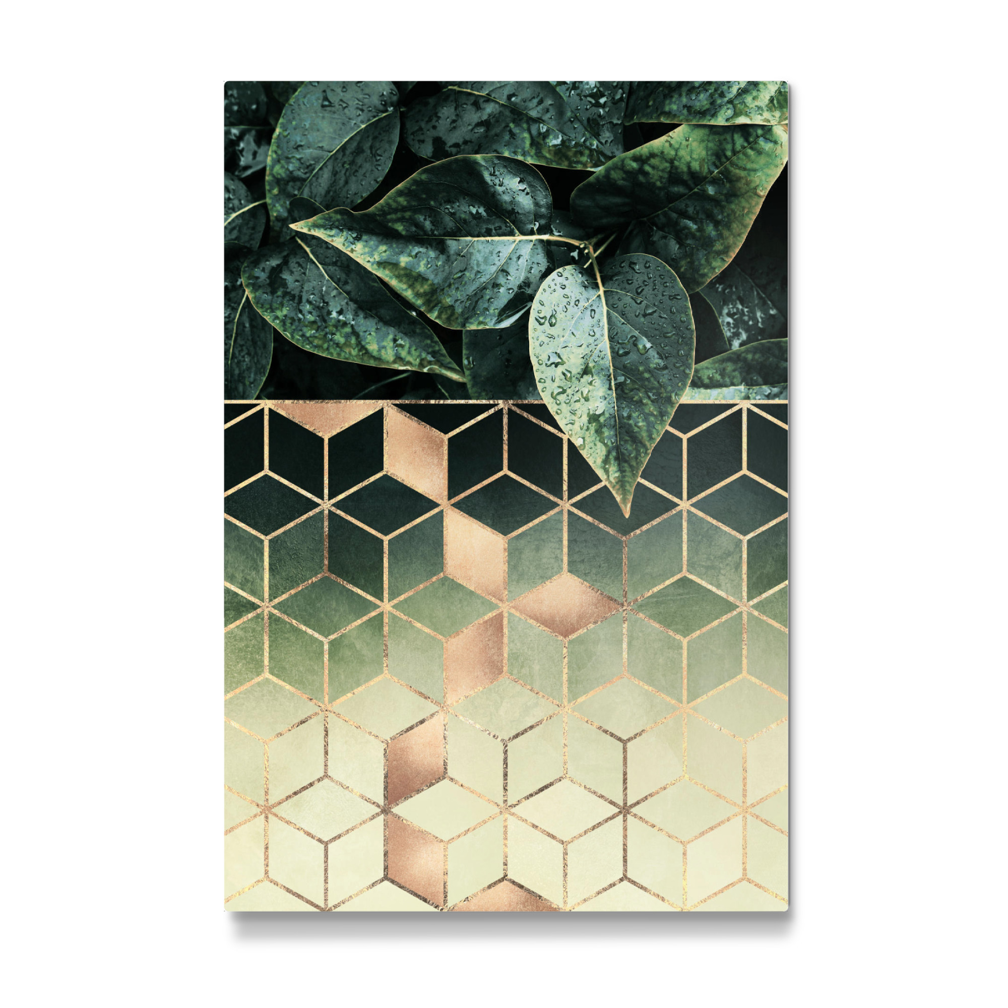 Galerie-Print "Leaves And Cubes 2" 75x50 cm artboxONE