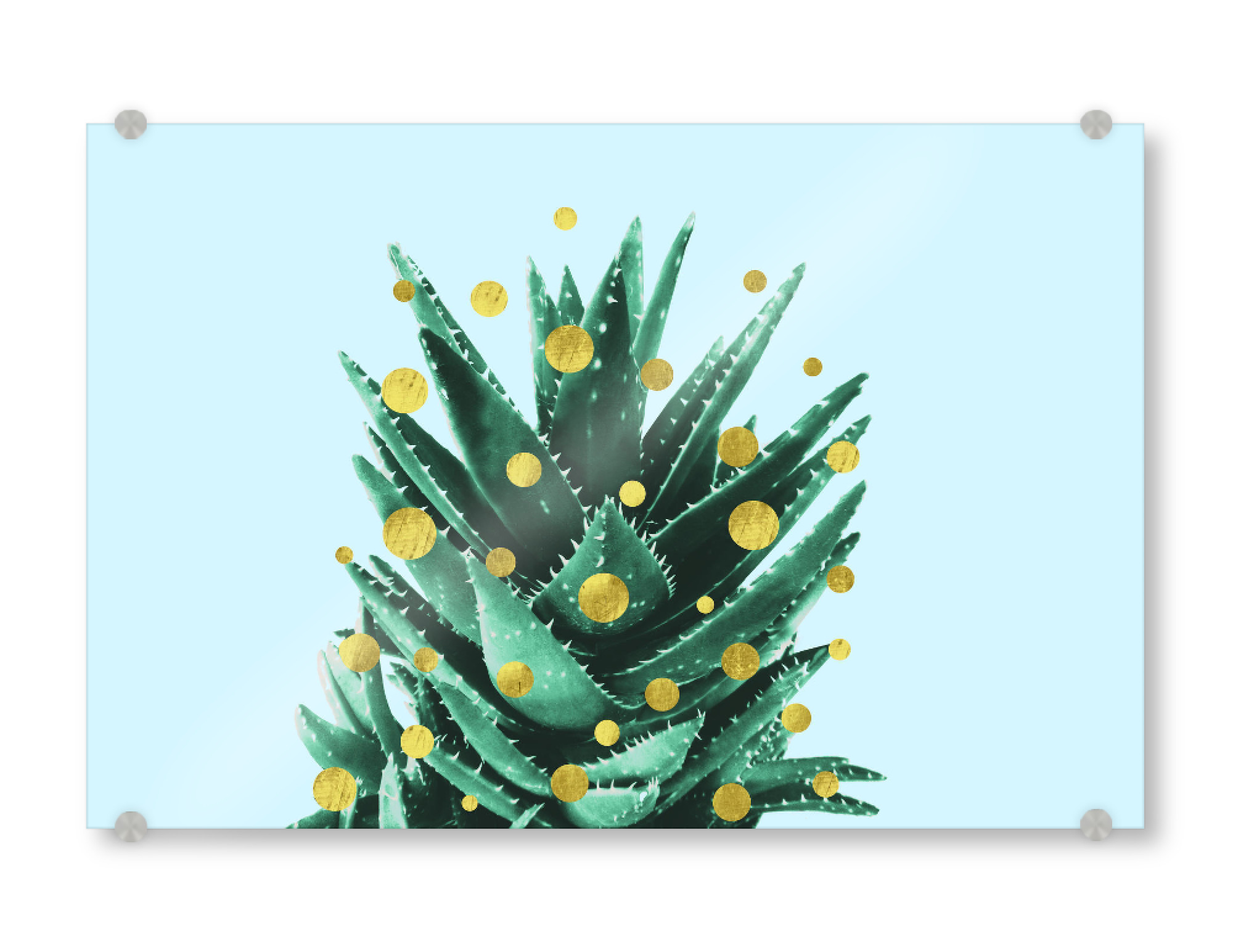 Acrylglasbild "Christmas Succulent" artboxONE - Weihnachten - Succulent,Desert,Christmas,Gold,Star,Holiday
