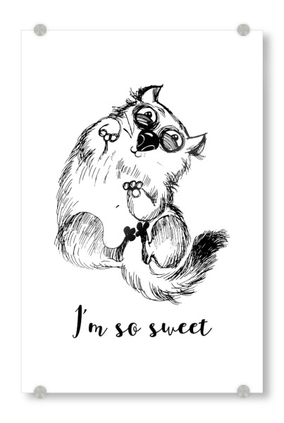 Acrylglasbild "I'm so sweet" artboxONE - Tiere,Schwarzweiß - Funny,Cat,Illustration,Katze,Cat content,Katzenliebe,Verrückt,Faul