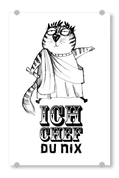Acrylglasbild "Bin chef du nix" artboxONE - Typografie,Tiere - Cat,Funny,Illustration