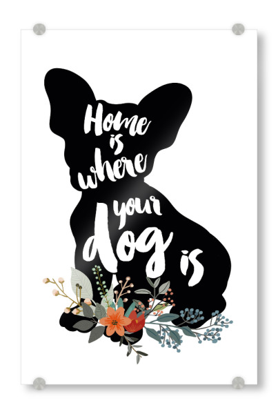Acrylglasbild "Zuhause ist wo dein Hund ist 4" artboxONE - Typografie,Für Kinder,Tiere,Schwarzweiß