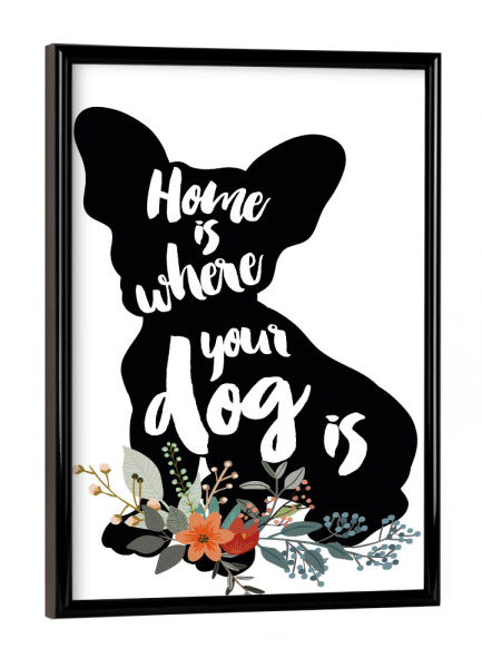 Poster mit schwarzem Rahmen "Zuhause ist wo dein Hund ist 4" artboxONE - Typografie,Für Kinder,Tiere,Schwarzweiß