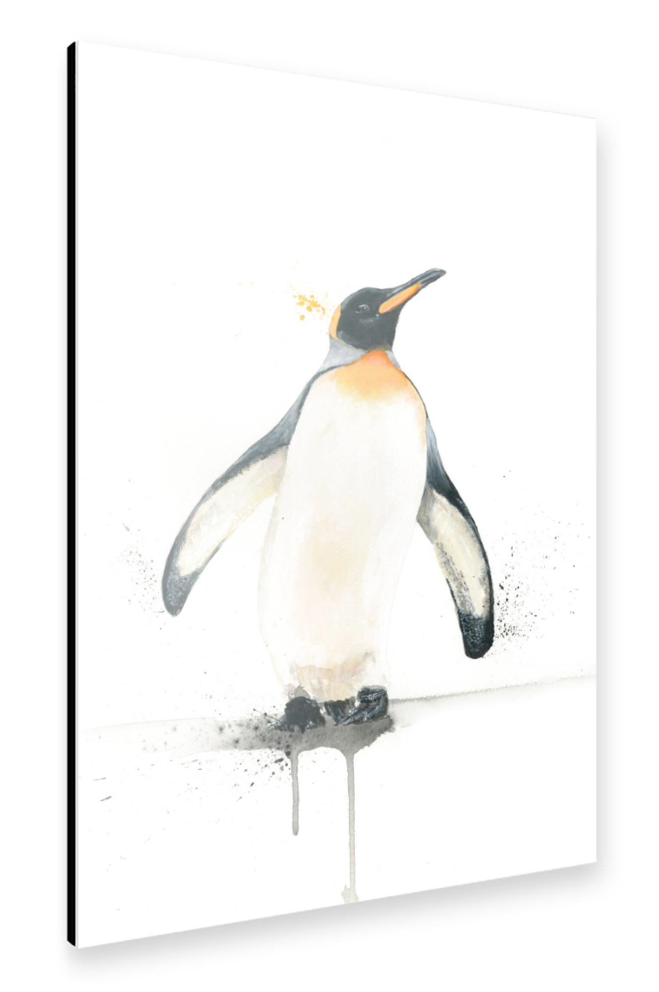 Alu-Dibond "Penguin (v2)" 75x50 cm artboxONE